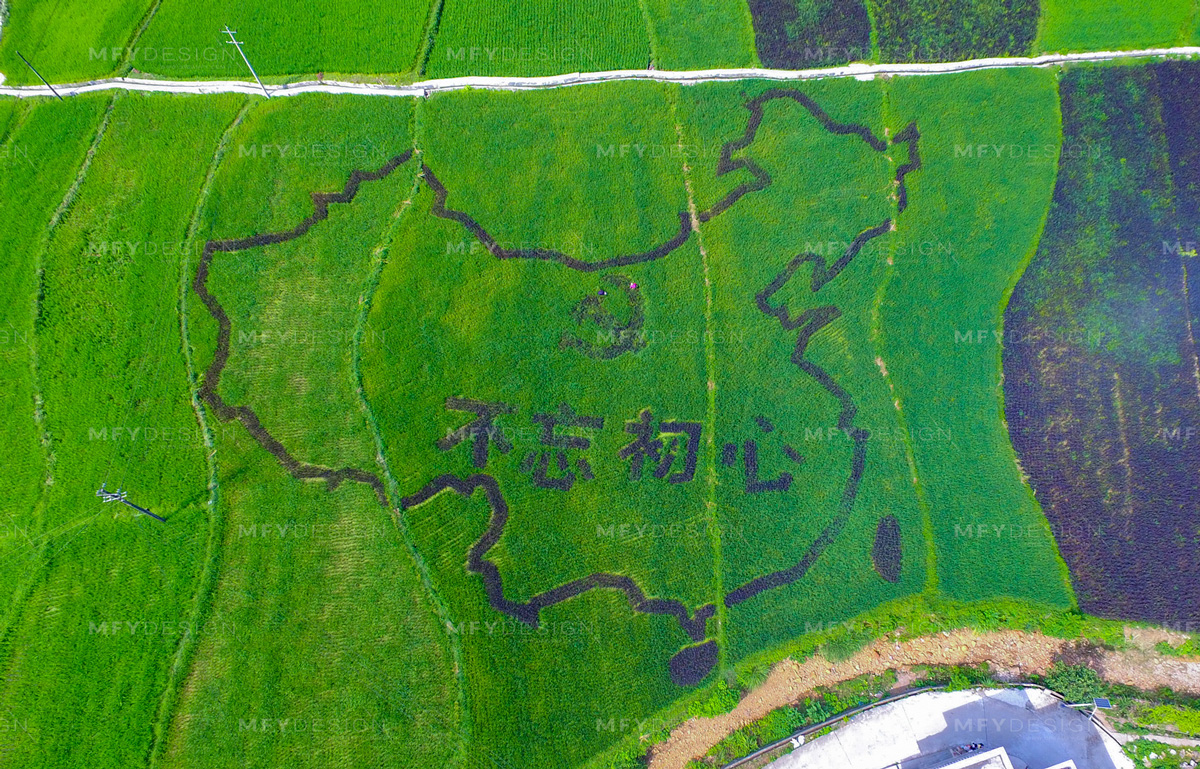 大美锑都惊现巨幅中国地图，占地30余亩稻田