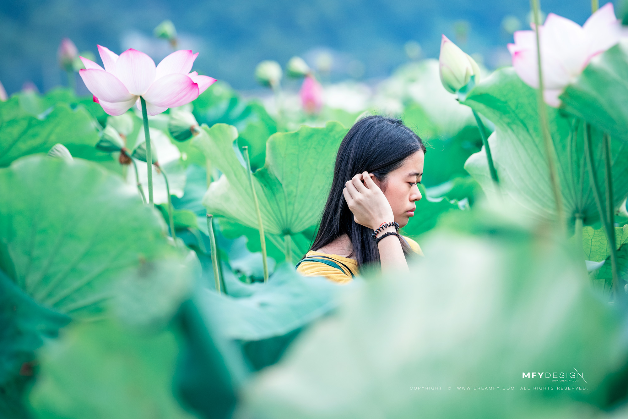 又是一年花开时